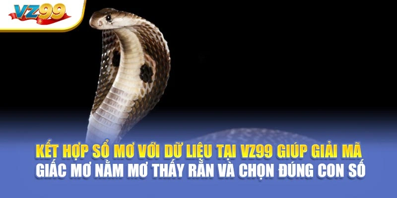 Kết hợp sổ mơ với dữ liệu tại VZ99 giúp giải mã giấc mơ nằm mơ thấy rắn và chọn đúng con số
