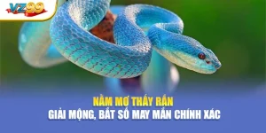 Nằm mơ thấy rắn – Giải mộng, bắt số may mắn chính xác